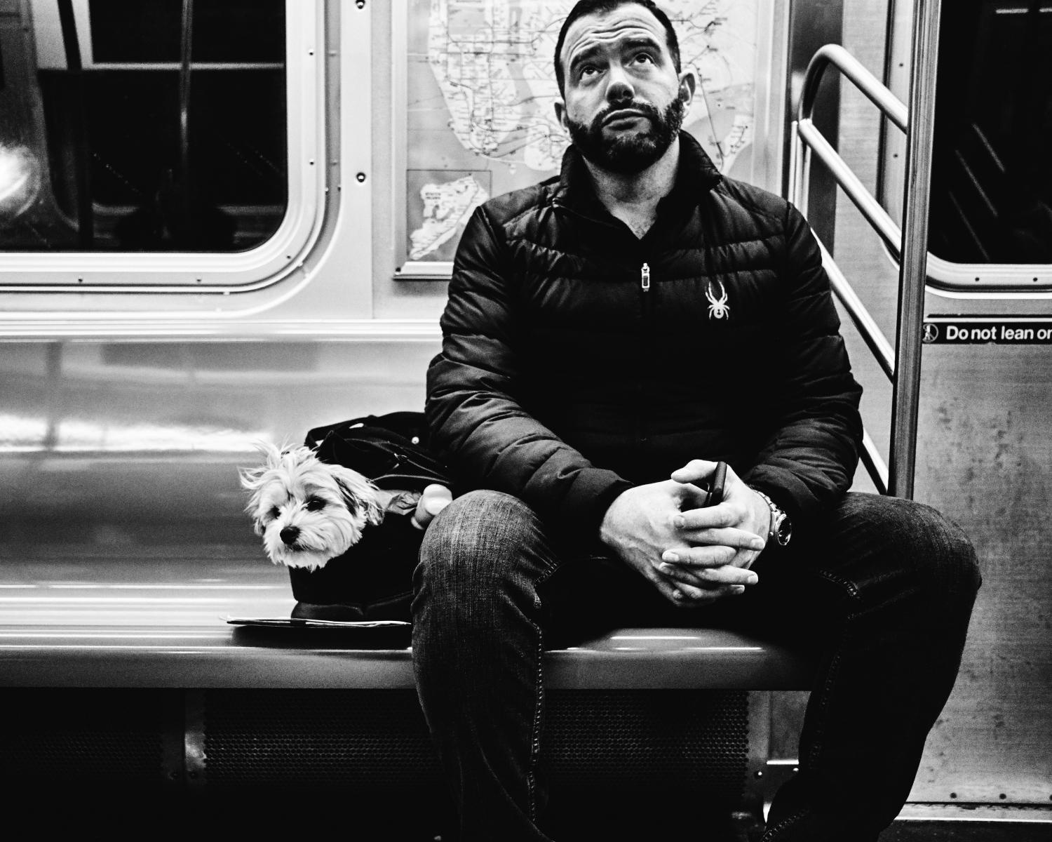  : NYC Dog Snaps : Joshua Janke Photography