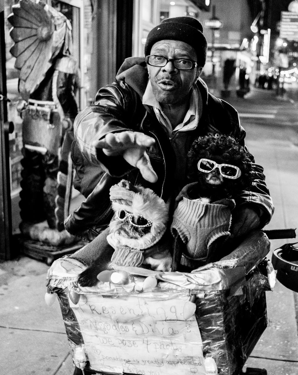  : NYC Dog Snaps : Joshua Janke Photography