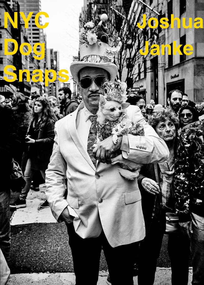  : NYC Dog Snaps : Joshua Janke Photography